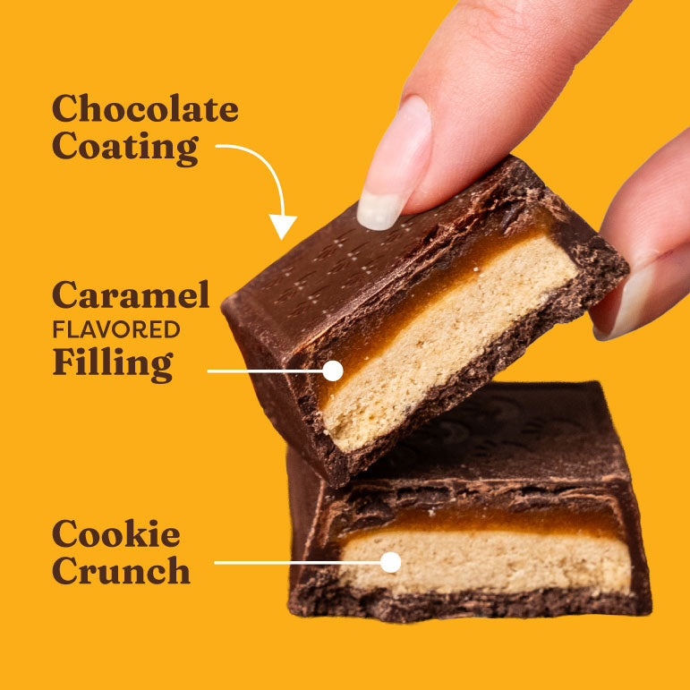 Sea Salt Caramel Chocolate Cookie Bars